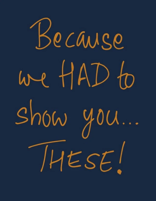 Social post — “Because we HAD to show you… THESE!” in handwritten gold type on navy